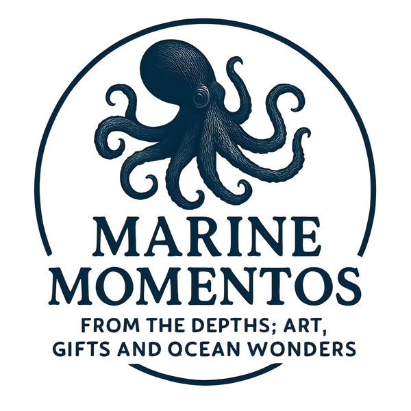 Marine Momentos 